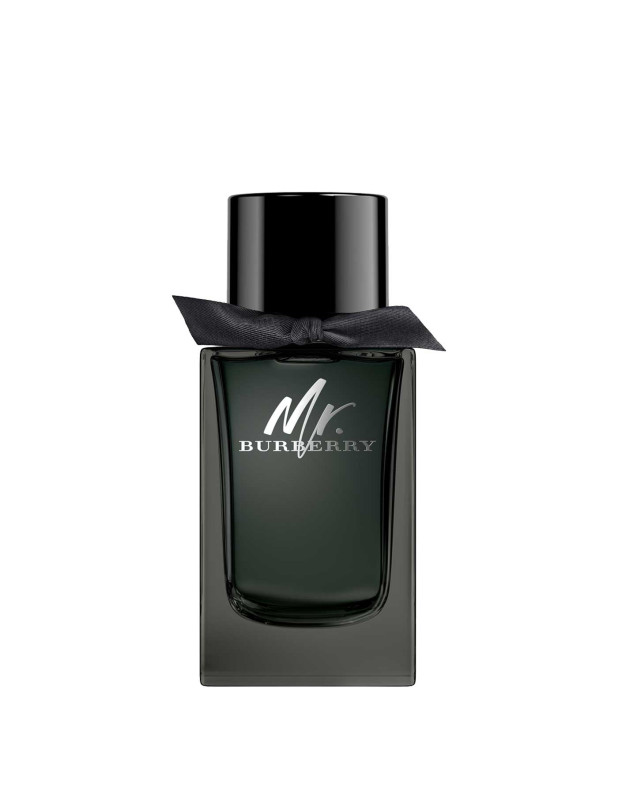 Mr. Burberry Edp